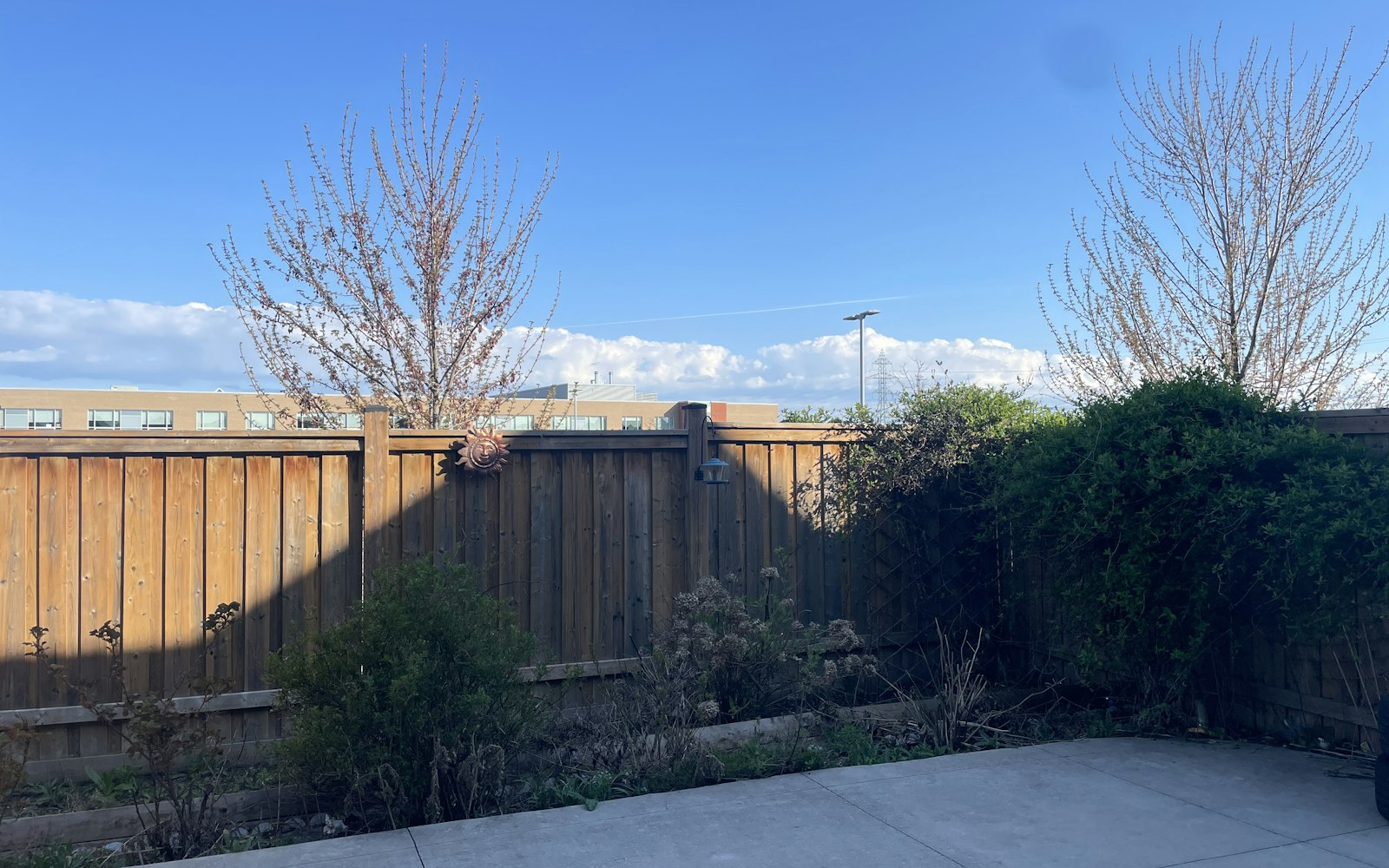 Wood privacy fence