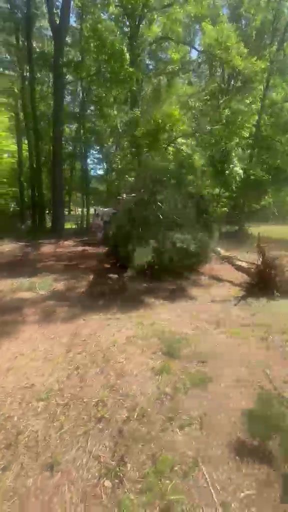 Track loader pushing a brush pile at the tree line during land clearing in Mooresville NC