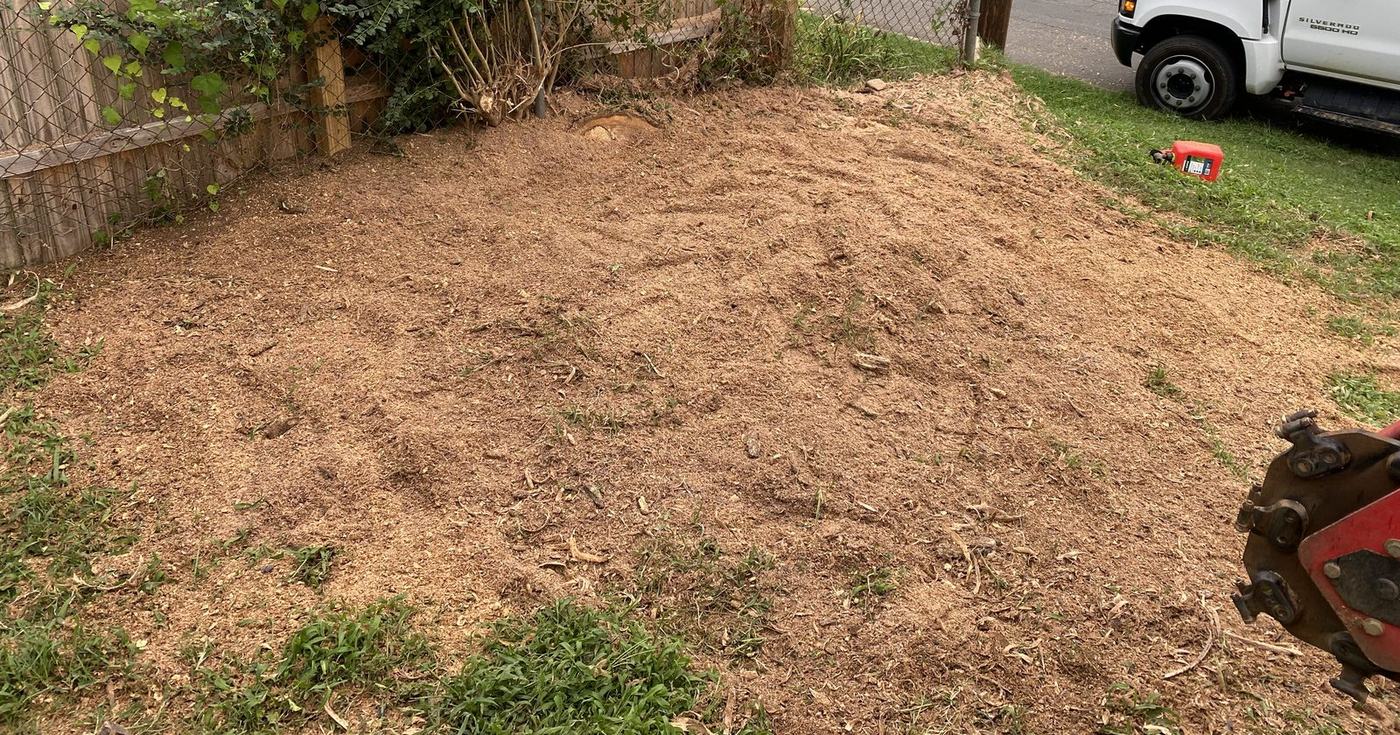 Ground stump chips raked level along a fence line after stump grinding in Charlotte NC